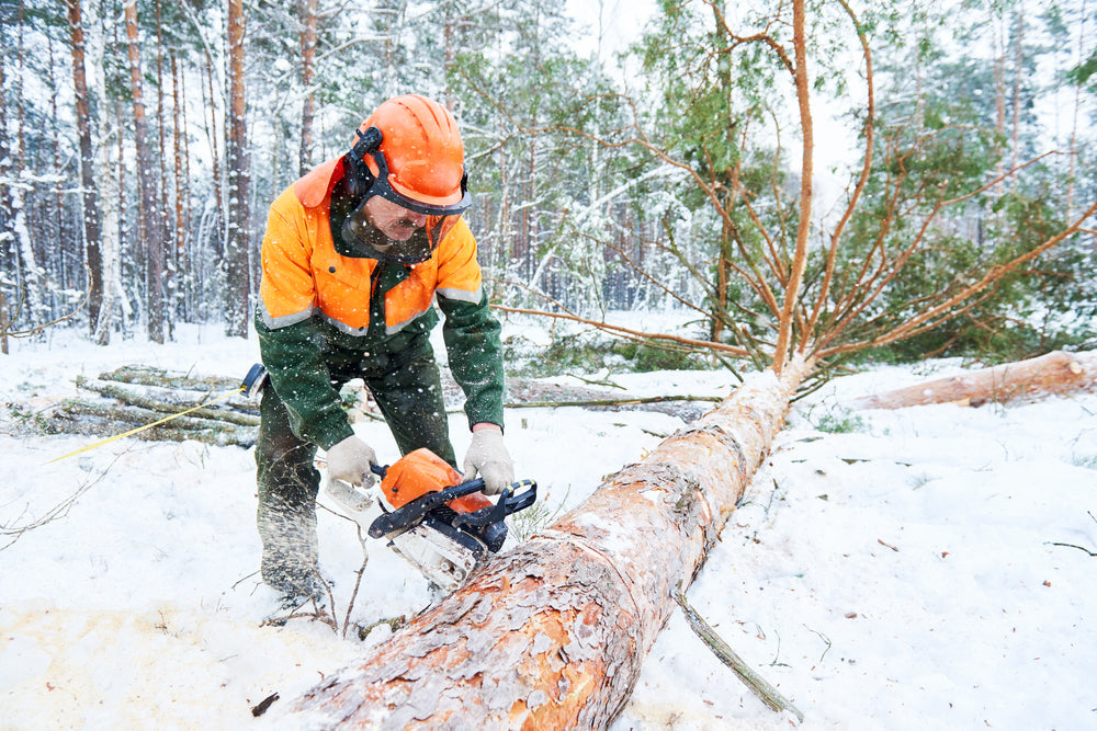 Pantalons de foresterie et de sécurité pour travailleurs